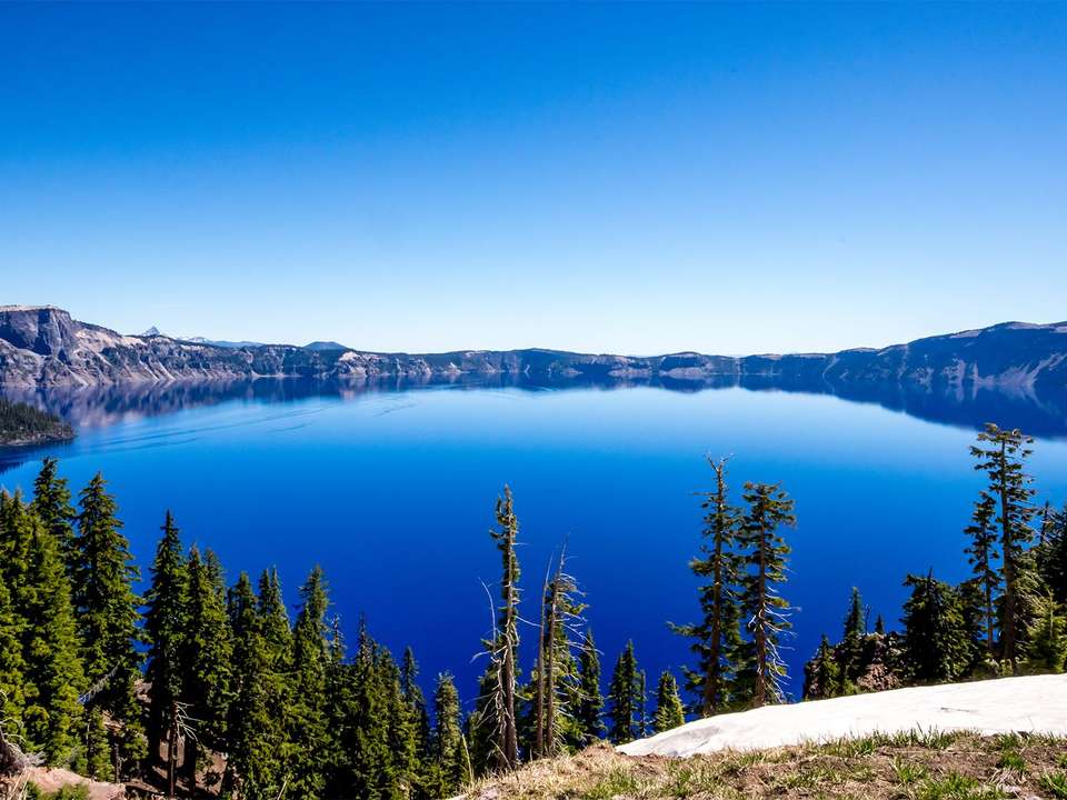 Oregon Loop - 7 days - On The Go Tours - USA - Image 4