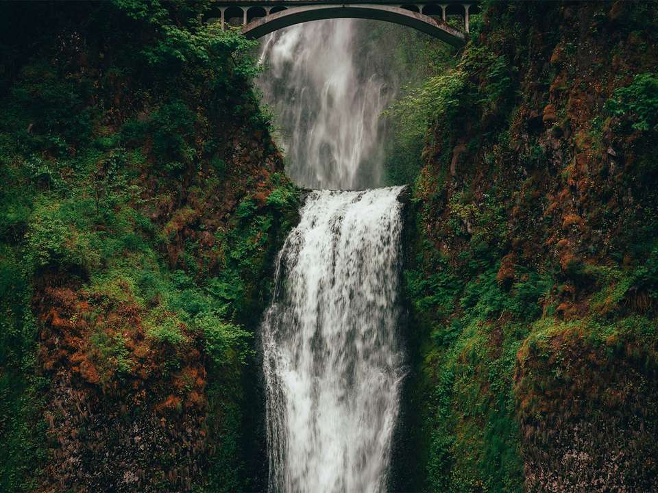 Oregon Loop - 7 days - On The Go Tours - USA - Image 5
