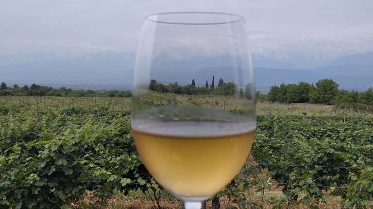 Organic wine tour trip - alternative tour available
