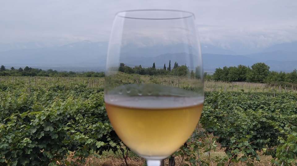 Organic wine tour - Highlander Travel - Georgia - Image 1