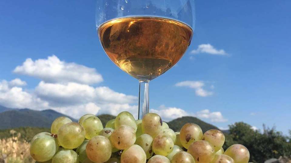 Organic wine tour - Highlander Travel - Georgia - Image 4