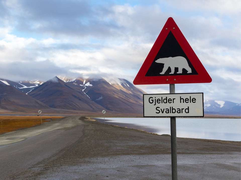 Oslo & Svalbard Discovery - 8 days - On The Go Tours - Norway - Image 3