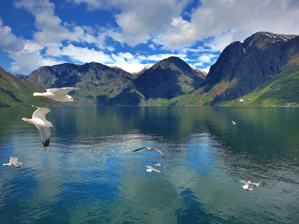 Oslo to Bergen (3 Star) - 7 days - On The Go Tours - Norway - Image 4