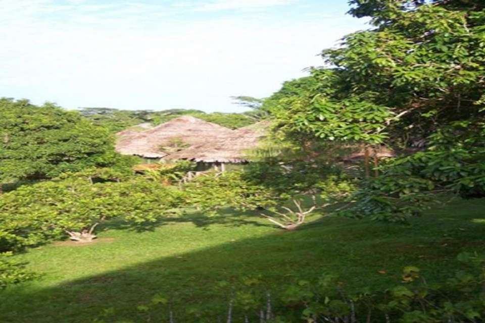 3-Day Lodge in the Jungle of Pacaya Samiria - Tangol Tours - Peru - Image 3