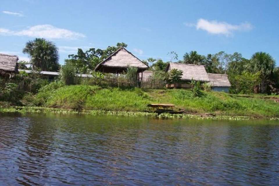 3-Day Lodge in the Jungle of Pacaya Samiria - Tangol Tours - Peru - Image 4