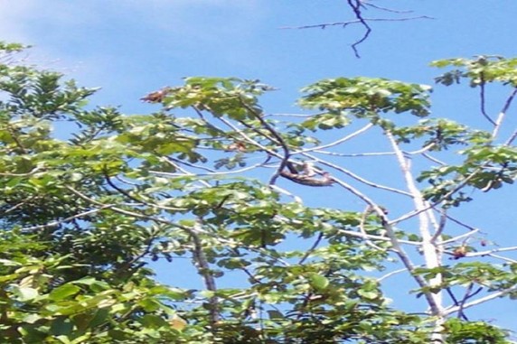 Image 5 of 8