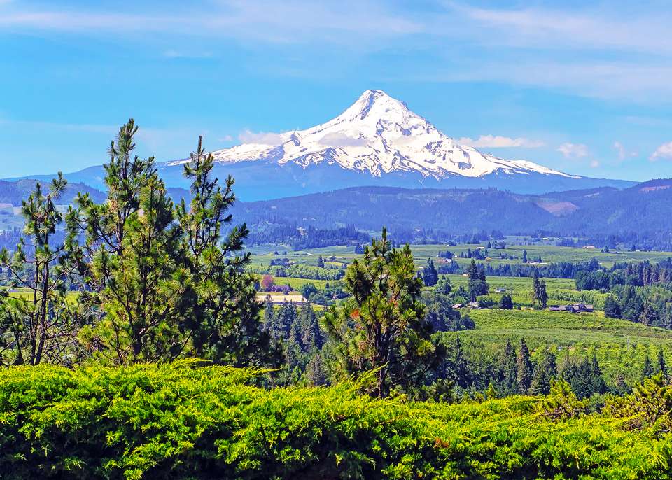 Pacific Northwest & California featuring Washington, Oregon and California - Collette Tours - USA - Image 2