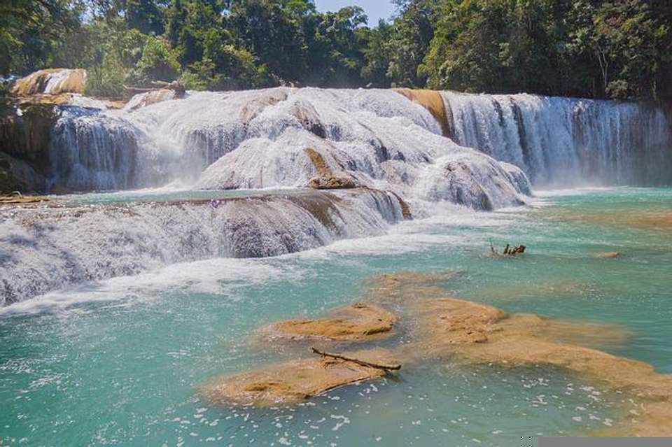 Palenque Tour: Explore Ruins, Archaeological Sites, And Nature (10 Days) - undefined - Image 4