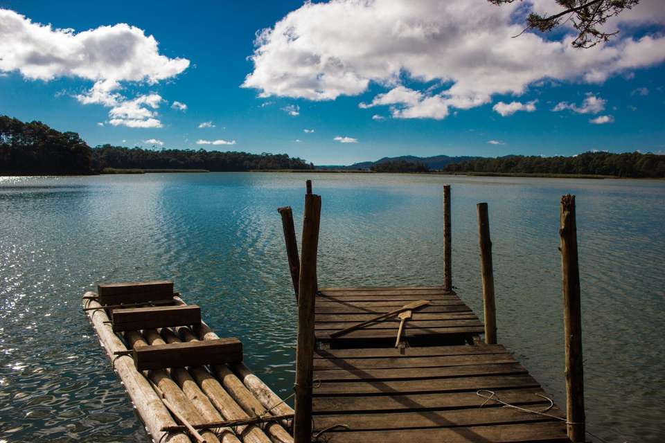 Palenque Tour: Explore Ruins, Archaeological Sites, And Nature (10 Days) - undefined - Image 7