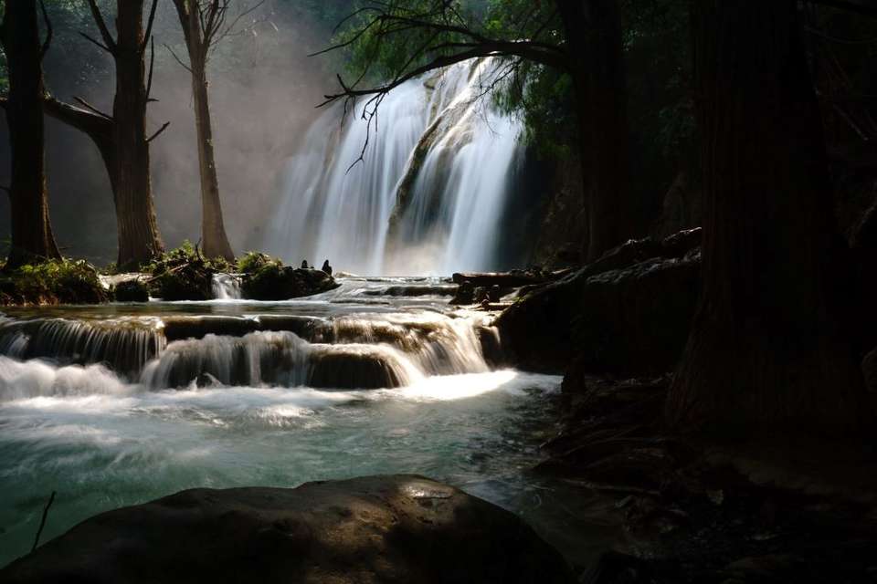 Palenque Tour: Explore Ruins, Archaeological Sites, And Nature (10 Days) - undefined - Image 8