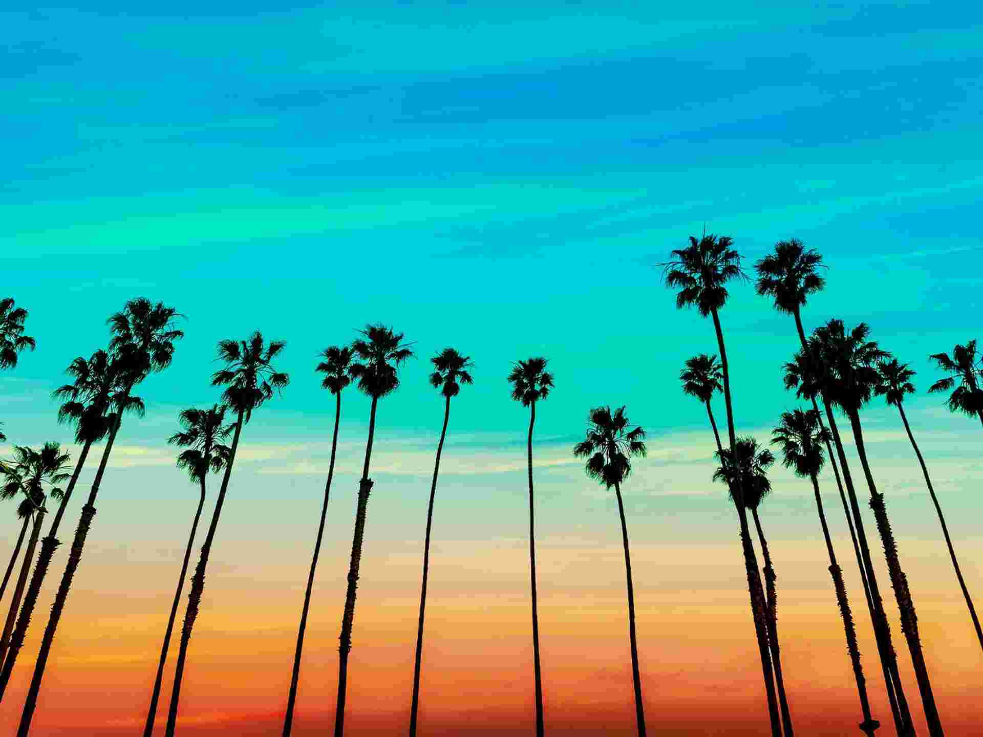 Palm Springs, Joshua Tree & Death Valley 2027 - 7 days