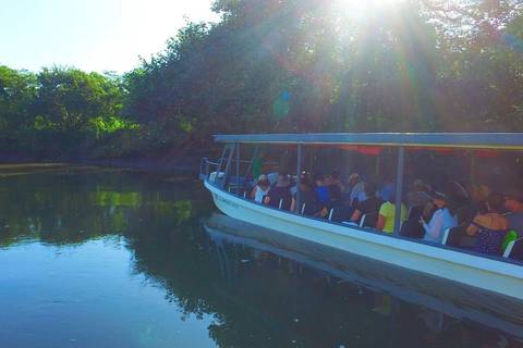 Palo Verde Riverride From Guanacaste - April 2026