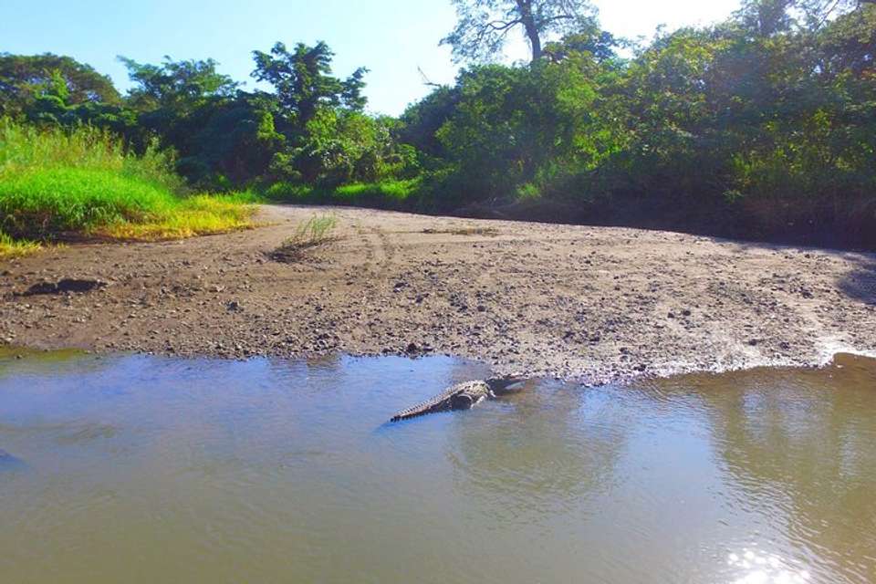 Palo Verde Riverride From Guanacaste - Destination Services - Costa Rica - Image 3