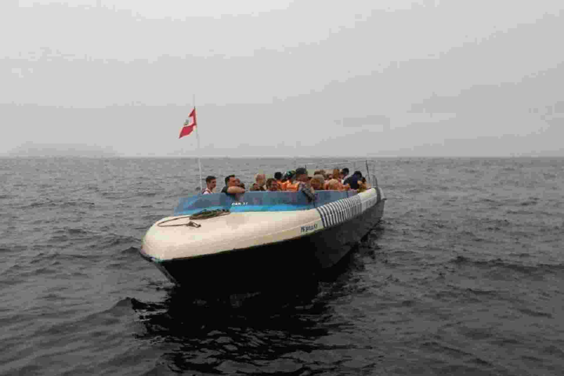 Palomino Islands Sea Lion Swimming Tour