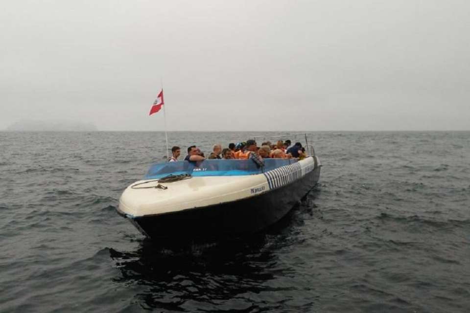 Palomino Islands Sea Lion Swimming Tour - Tangol Tours - Peru - Image 1