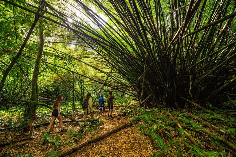 North America Tailor-made Vacation Packages: Panama & Costa Rica: Caribbean Coasts, Rainforests & Volcanoes (multi County)