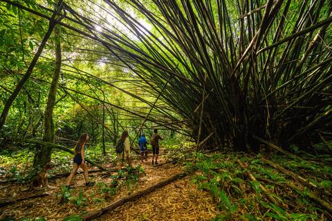 South America Eco Tours: Panama & Costa Rica: Caribbean Coasts, Rainforests & Volcanoes (multi County)