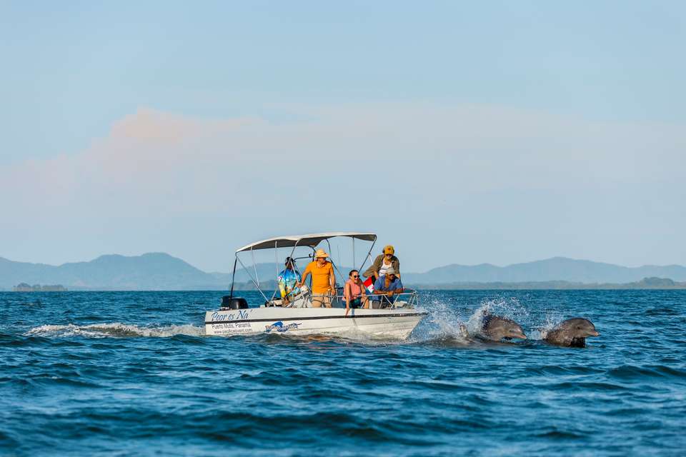 Panama & Costa Rica: Caribbean Coasts, Rainforests & Volcanoes (multi County) - Destination Services - Panama - Image 16