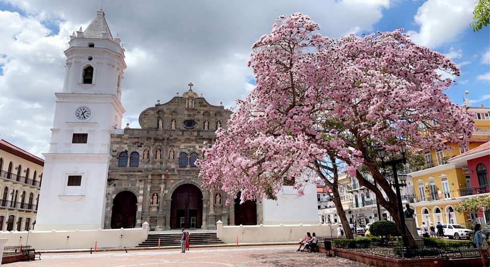 Panama Essentials, City Break - Destination Services - Panama - Image 2