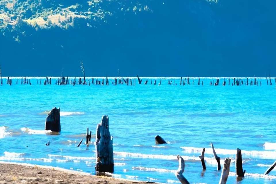 Panguipulli, Calafquen, Lican Ray & Coñaripe Lakes Route from Valdivia - Tangol Tours - Chile - Image 2