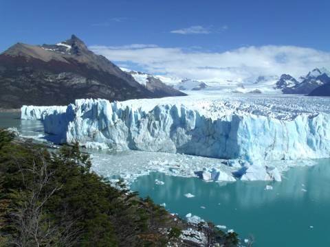 Argentina Wildlife Safaris And Game Drives Tour: Panorama Of Argentina