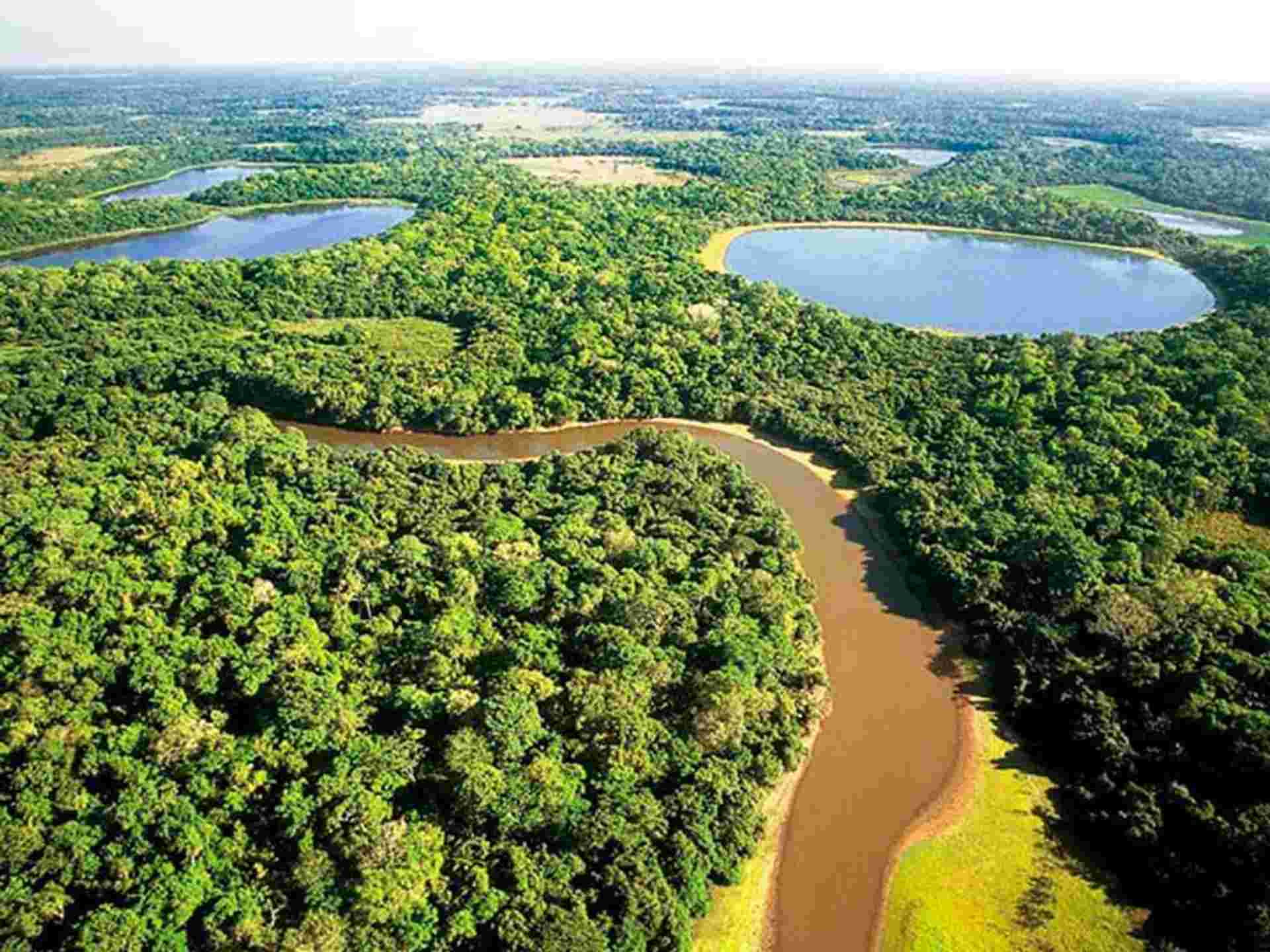 Pantanal & Bonito Experience 6D/5N