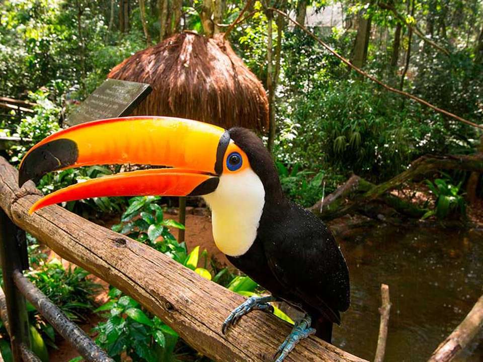 Pantanal, Bonito & Iguazu Adventure 9D/8N (from Campo Grande) - Bamba - Brazil - Image 3