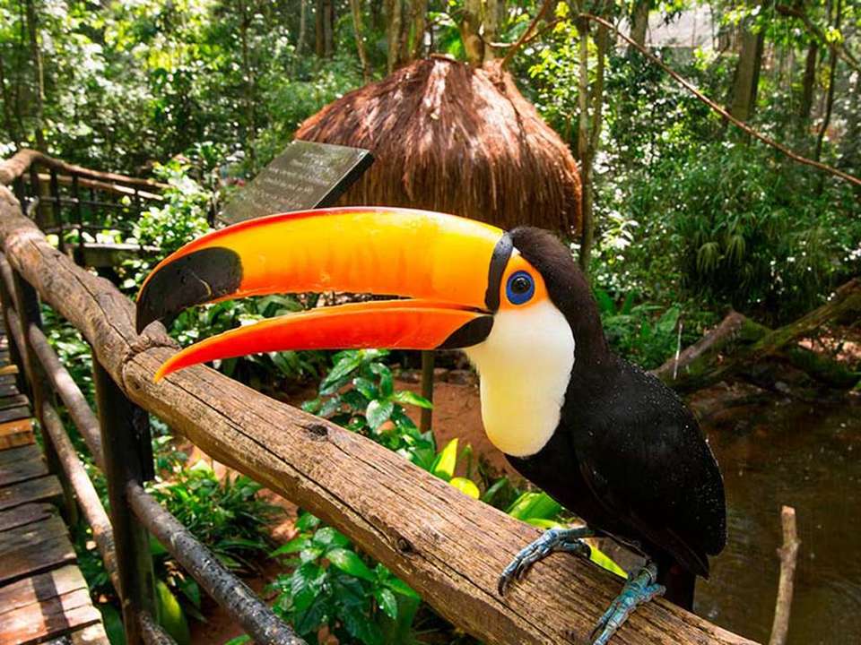 Pantanal, Bonito & Iguazu Adventure 9D/8N (from Foz do Iguacu) - Bamba - Brazil - Image 2