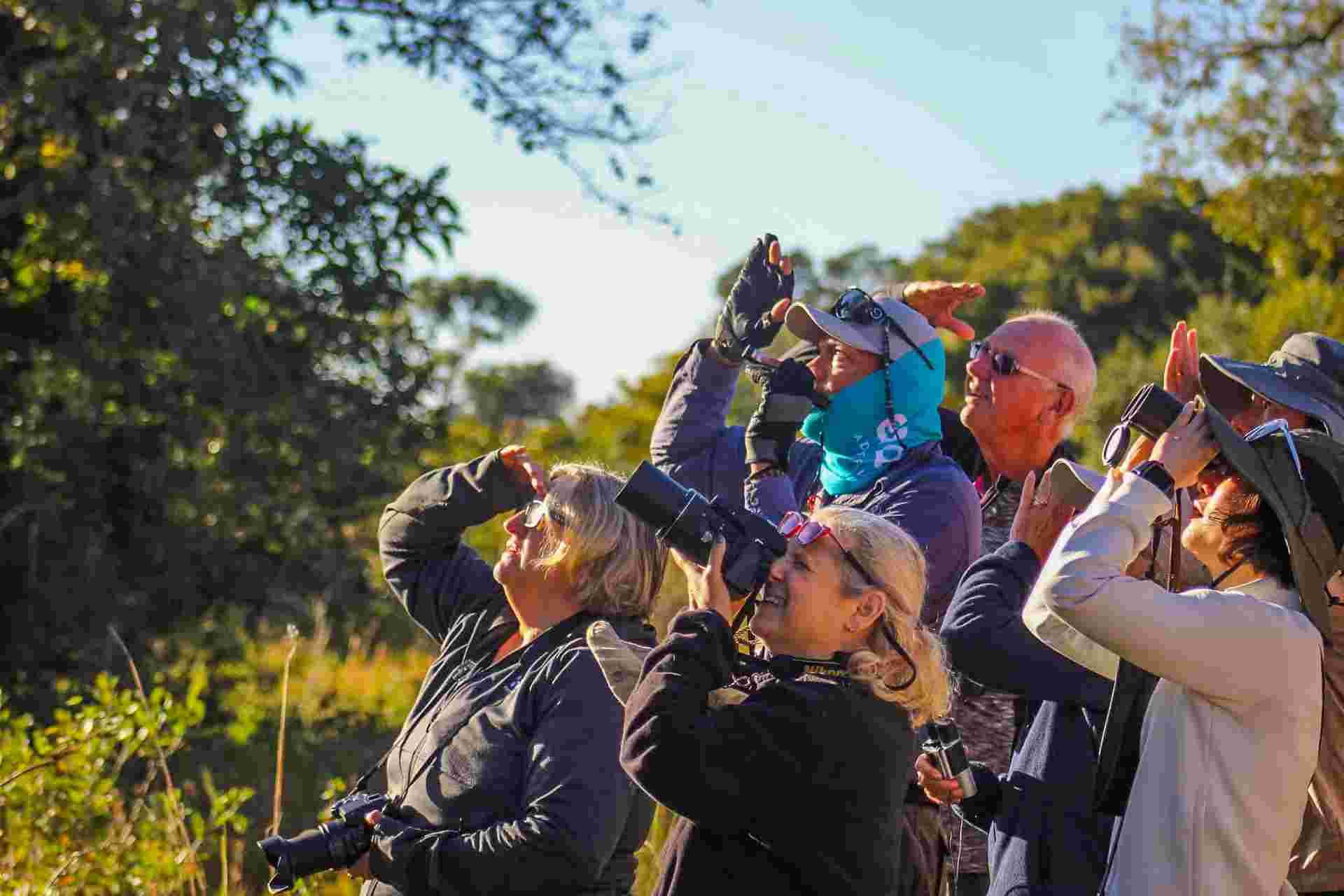 Pantanal - Land of the Jaguar
