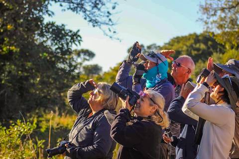 Brazil Group Tours: Pantanal - Land Of The Jaguar