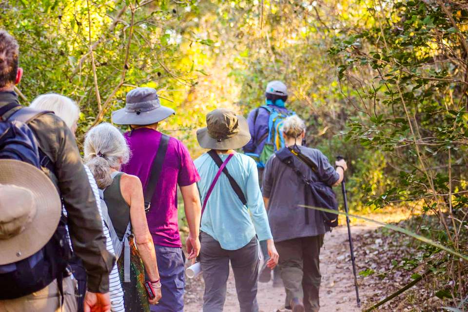 Pantanal - Land of the Jaguar - Exodus Adventure Travels - Brazil