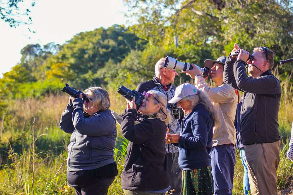 Pantanal - Land of the Jaguar - Exodus Adventure Travels - Brazil