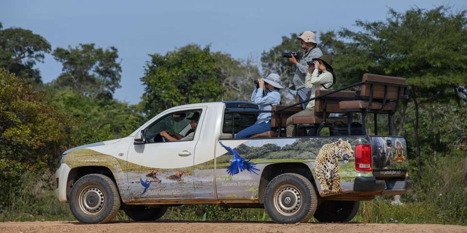 Pantanal - Land of the Jaguar - Exodus Adventure Travels - Brazil