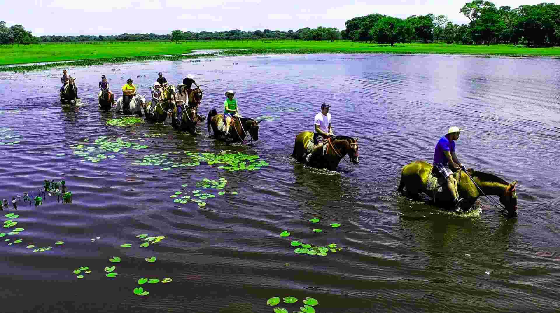 Pantanal Wildlife Experience