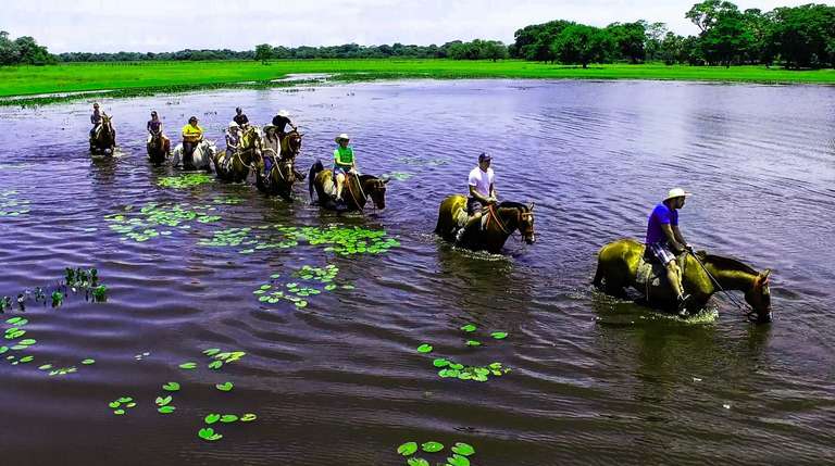 Pantanal Wildlife Experience - September 2027