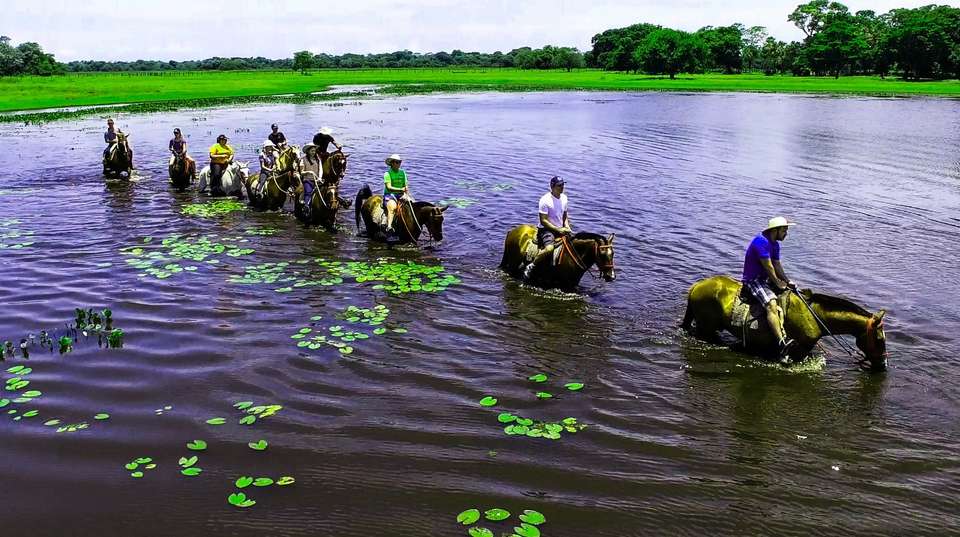Pantanal Wildlife Experience - Nattrip - Brazil - Image 1