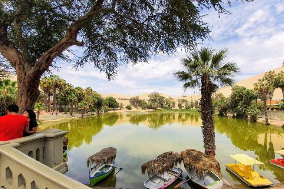 Paracas and Huacachina Oasis Full Day Tour from Lima - Tangol Tours - Peru - Image 4