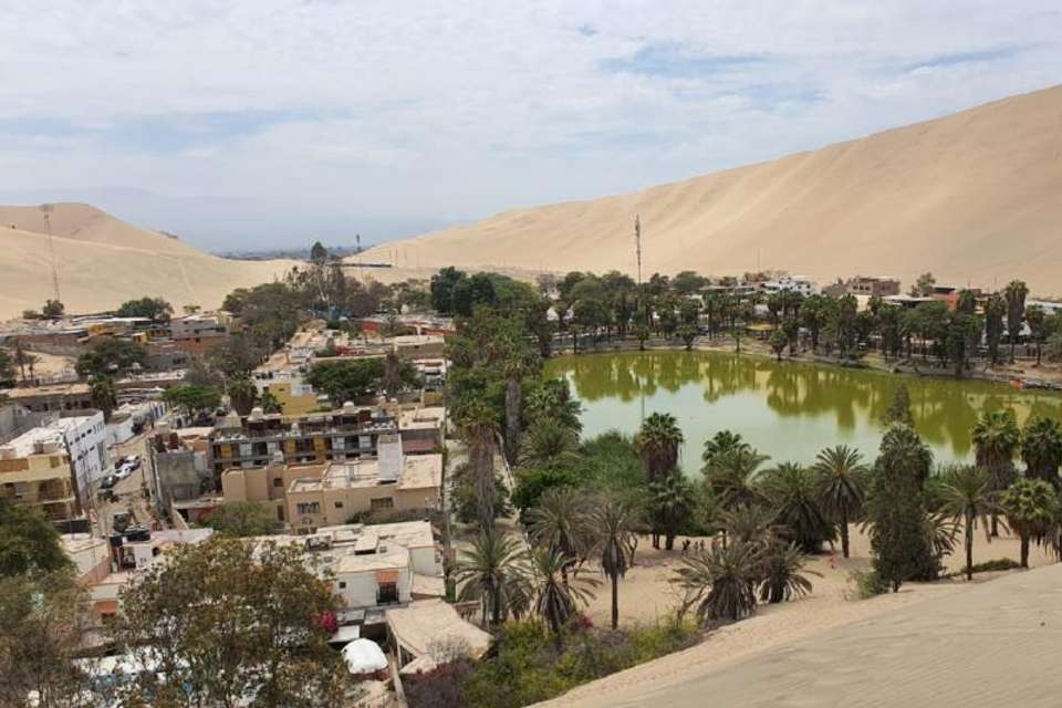 Paracas and Huacachina Oasis Full Day Tour from Lima - Tangol Tours - Peru - Image 6