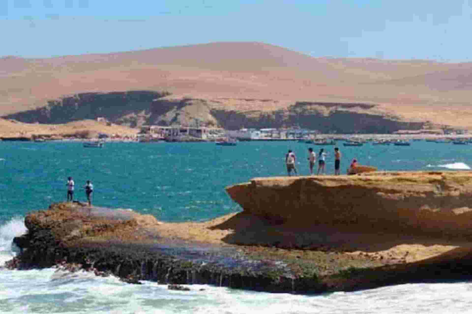 Paracas National Reserve Half Day Tour