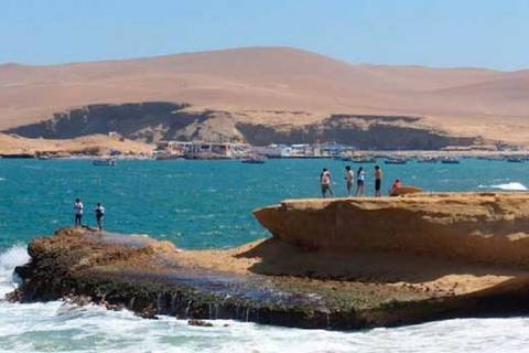Paracas National Reserve Half Day Tour - 1 Day