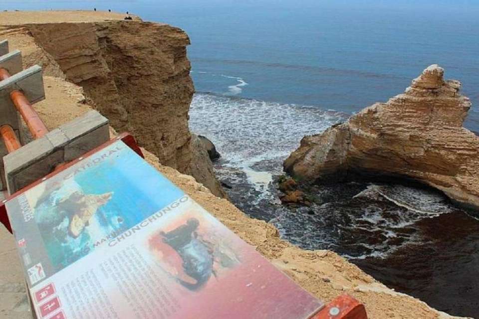 Paracas National Reserve Half Day Tour - Tangol Tours - Peru - Image 6
