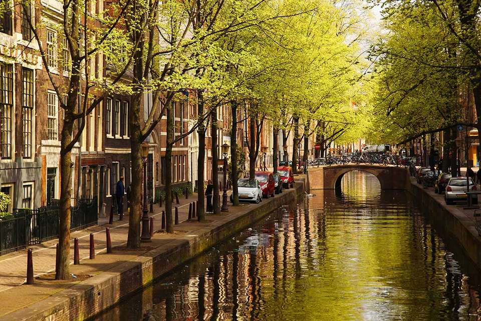 Paris to Amsterdam - Intrepid Travel - France - Image 8