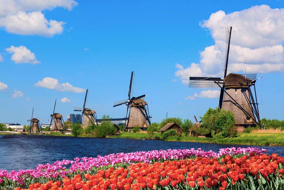 Paris to Amsterdam - Intrepid Travel - France - Image 11