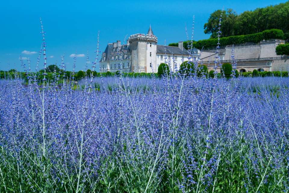 Paris to Loire Art, History, Charm - 8 days - On The Go Tours - France - Image 11