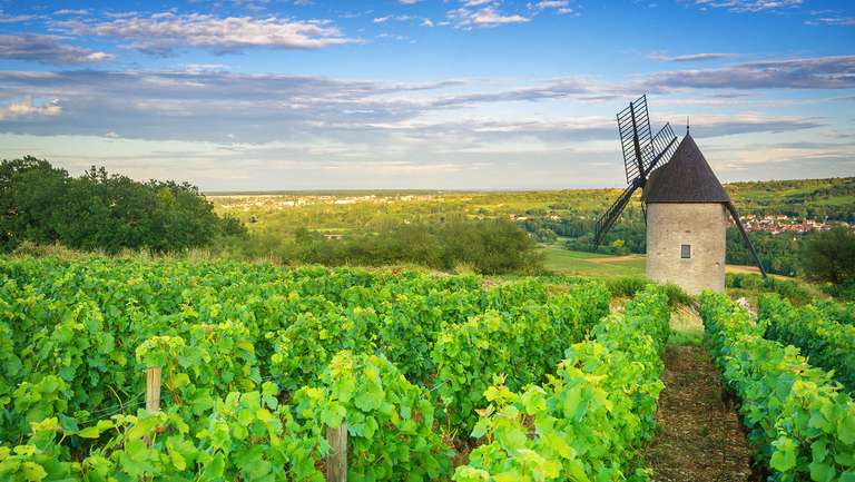Paris to Nice through Vineyards and Mountains trip - alternative tour available