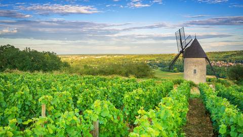 Paris To Nice Through Vineyards And Mountains