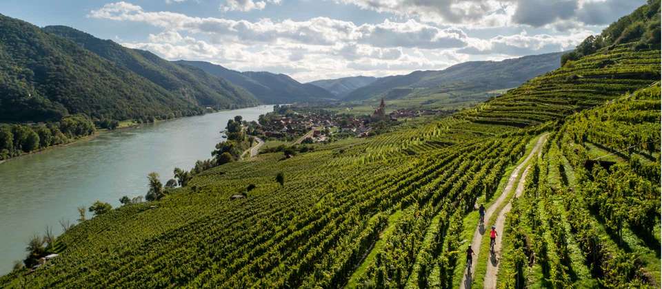 Passau to Vienna Cycle Deluxe - Utracks - Germany - Image 7