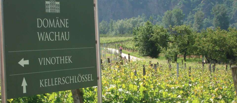 Passau to Vienna Cycle Deluxe - Utracks - Germany - Image 10