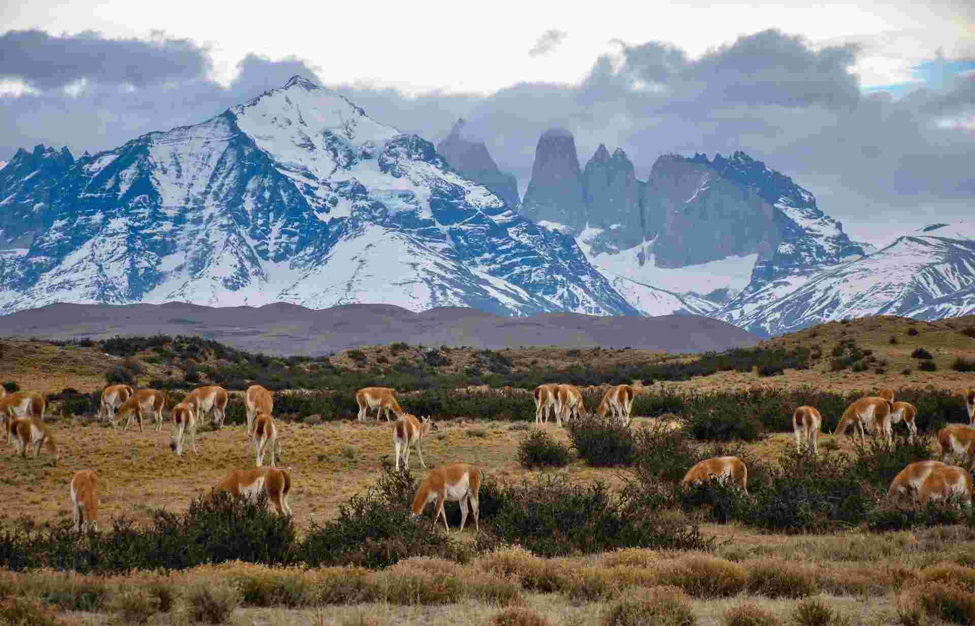 Patagonia