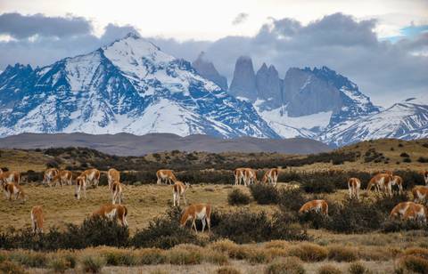 Experienced Travelers Trips: Patagonia